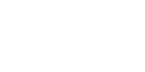 Borusan